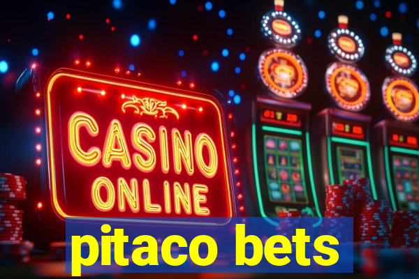 pitaco bets